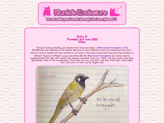 birdblog/entry/19 screenshot
