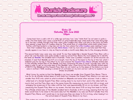 birdblog/entry/23 screenshot