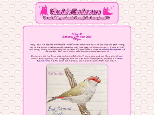 birdblog/entry/40 screenshot