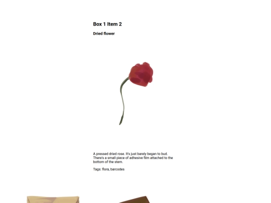 flower screenshot