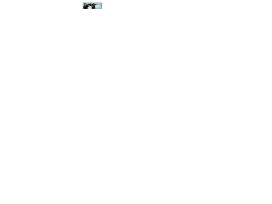 follow_marquee screenshot