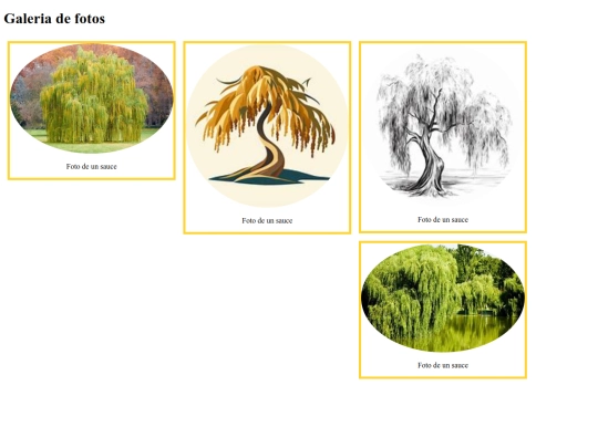 galeriafotos screenshot