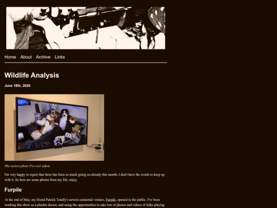 posts/2026-06-18-Wildlife-Analysis screenshot