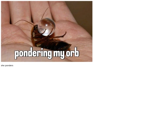 ponderer screenshot