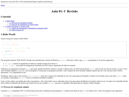 binaryexploit screenshot