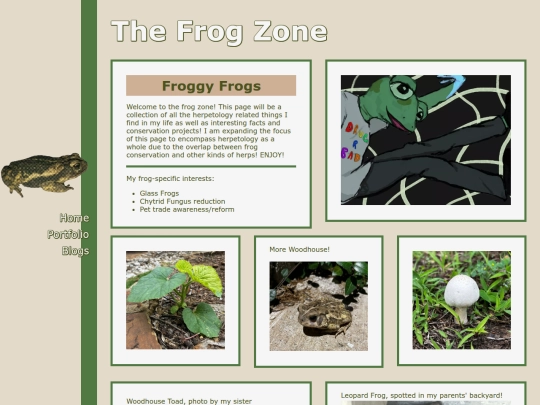 frogzone/frogzone screenshot