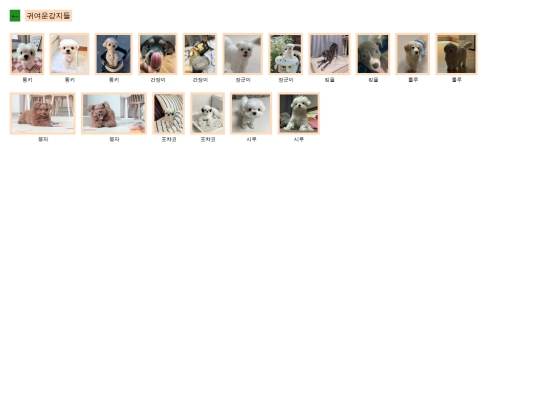 dog screenshot