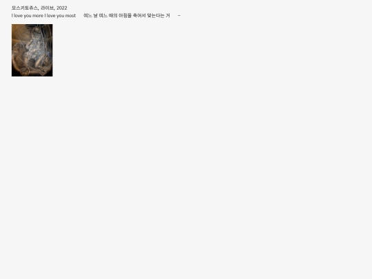 archive-mo screenshot