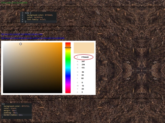 css screenshot