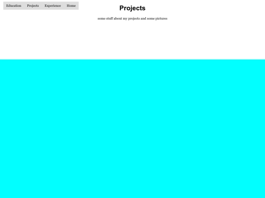Projects screenshot