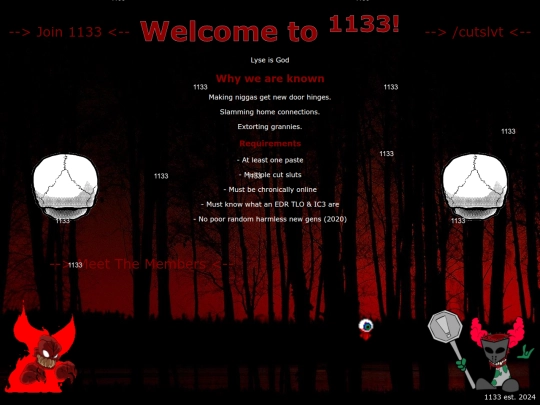 1133 screenshot