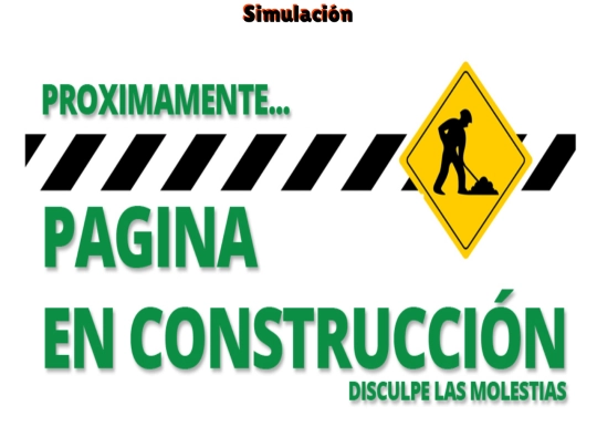 Página Web/simulacion screenshot