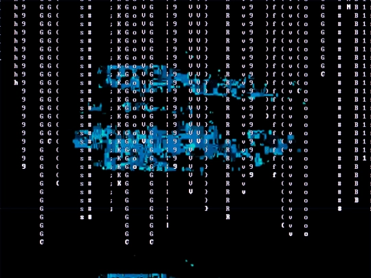 network screenshot