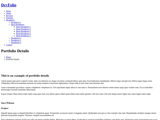 portfolio-details screenshot