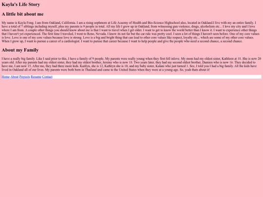 portfolio/about screenshot
