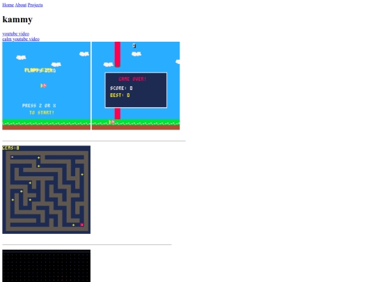projects screenshot