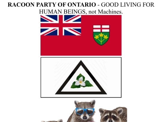 ONT_RACOON_PARTY screenshot