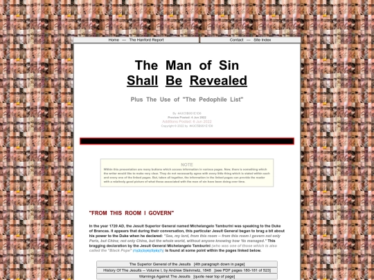 ManSinRev screenshot