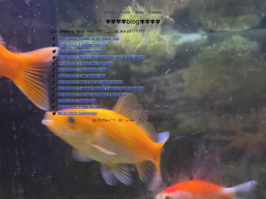 blog screenshot