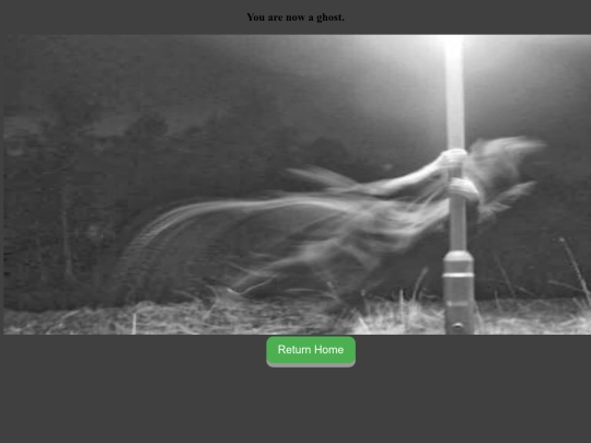 b3 screenshot