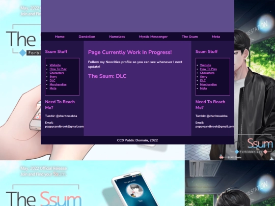 folder_ssum/ssdlc screenshot