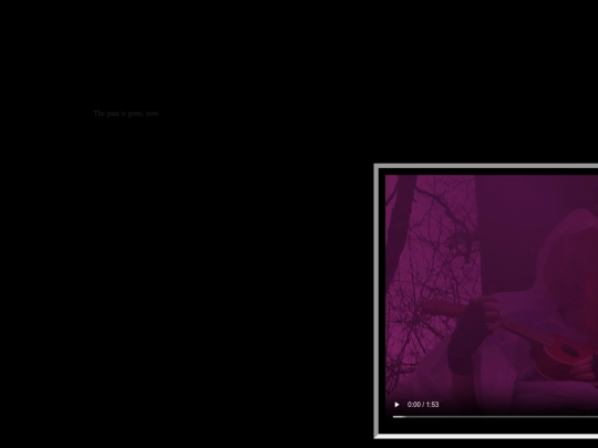 memory/songbird screenshot