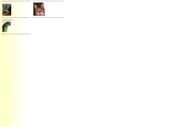 photogallery/photo26003/real_p screenshot