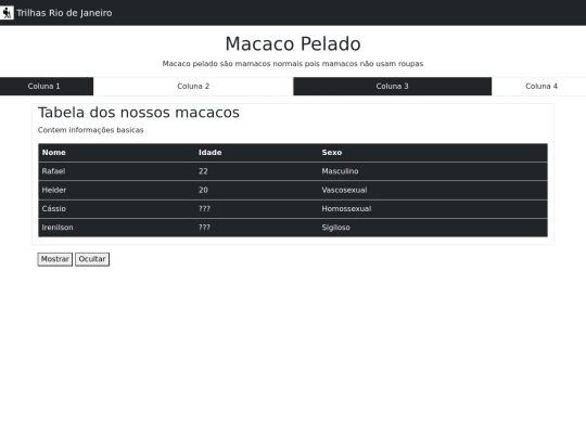 Projeto_TurismoRJ/home screenshot