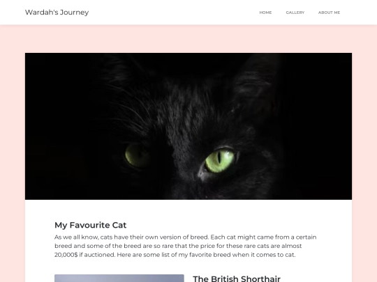 cats screenshot