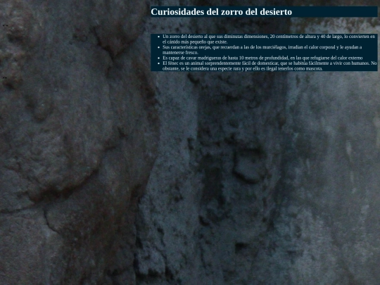 curiosidades screenshot