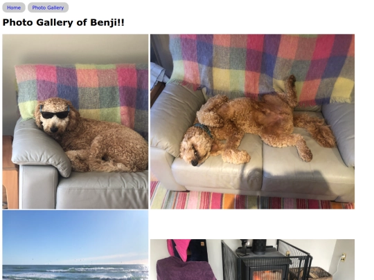 photogallery screenshot