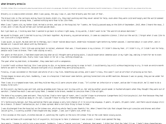 blog/bravery screenshot