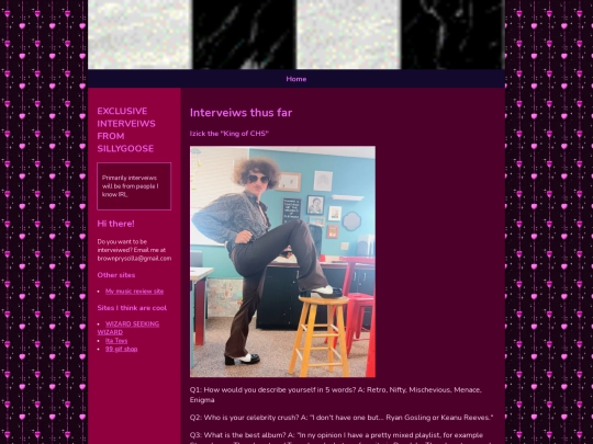 exclusivesillygooseinterveiws screenshot