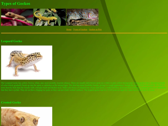 gecksite2 screenshot