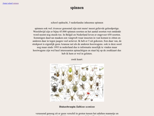 school/spinnen screenshot