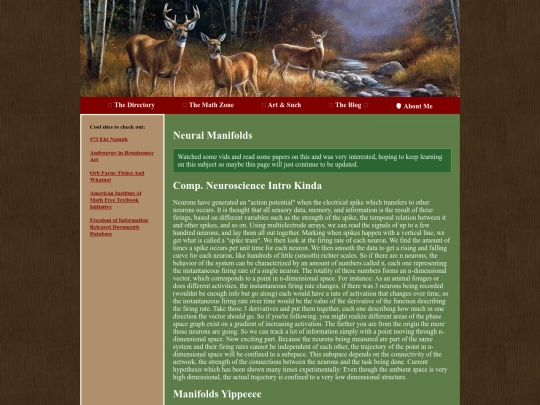 Math Objects/neural-manifold screenshot
