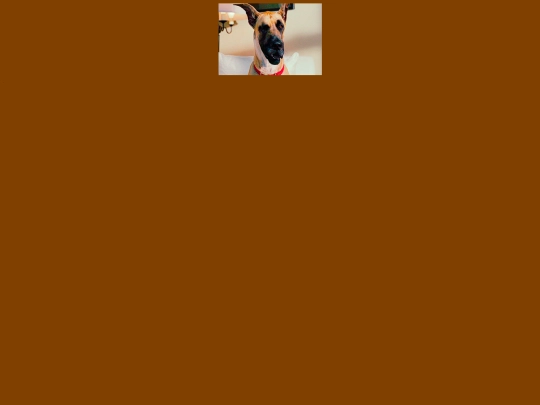 marm screenshot