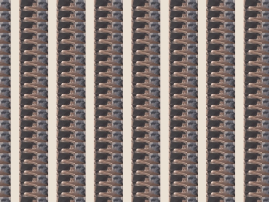 3/arms-counl-w-chamber-23 screenshot