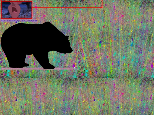 _china/35 screenshot