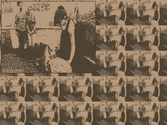 bet-bewildered screenshot