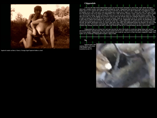 denist screenshot