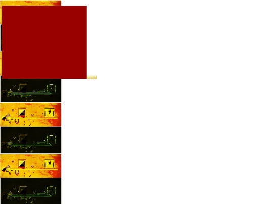 electronic screenshot