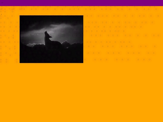 homex/horse-house screenshot