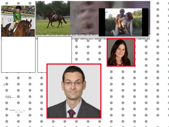 horses screenshot