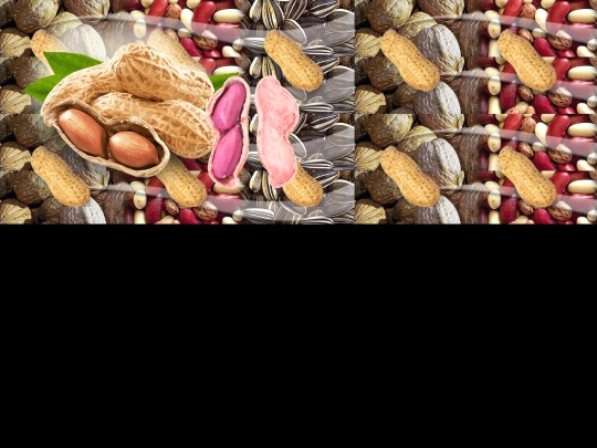 peanut_butter screenshot