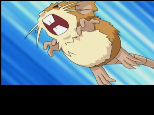 Raticate_Moment screenshot