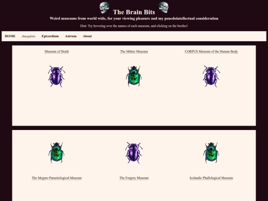 amygdala screenshot