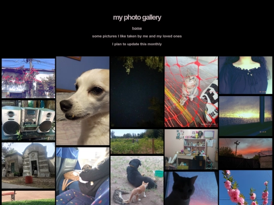 photo_gallery/photos screenshot