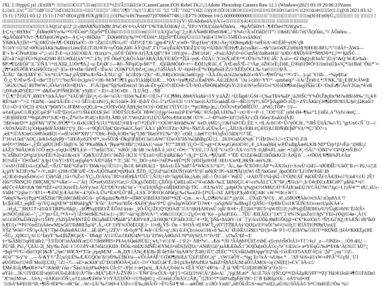 images/Willet1 screenshot