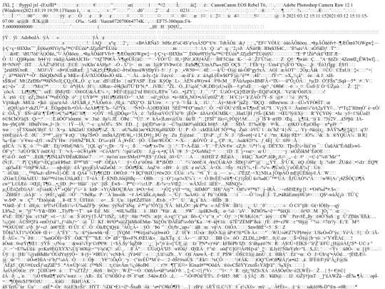 images/Willet2 screenshot